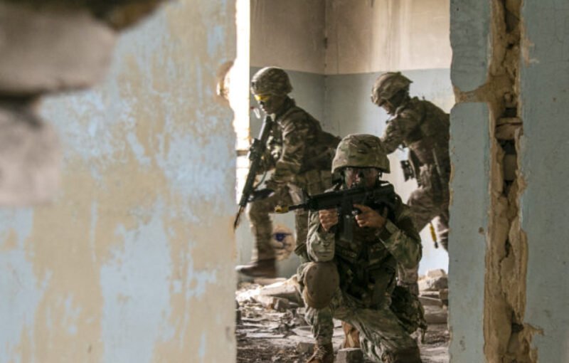 Exercise NOBLE PARTNER in Georgia with 28 Squadron QOGLR