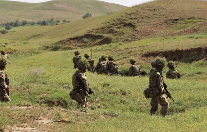 Exercise NOBLE PARTNER in Georgia with 28 Squadron QOGLR