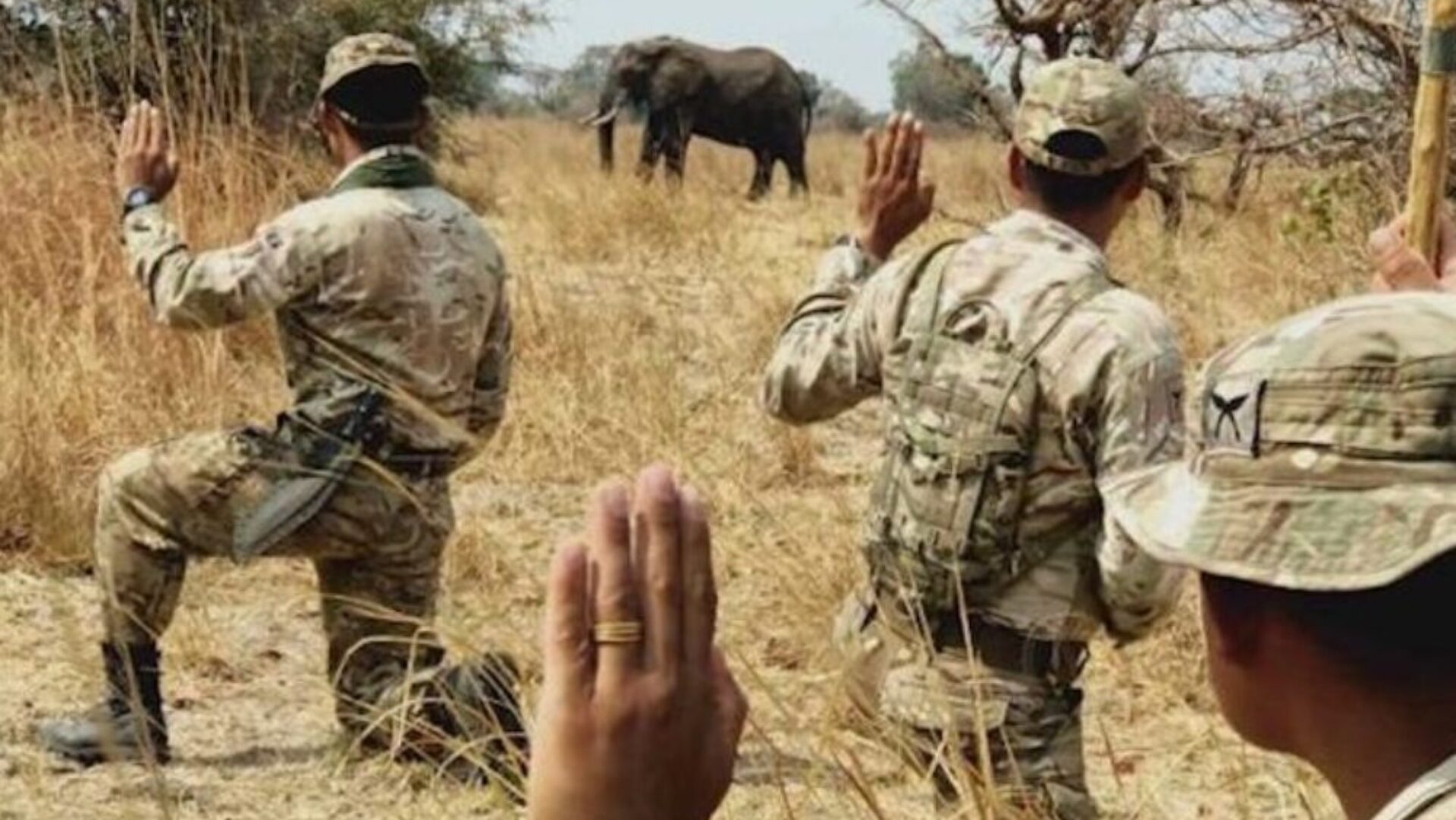 Anti-poaching training in Zambia