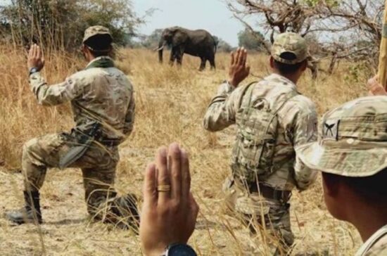 Anti-poaching training in Zambia
