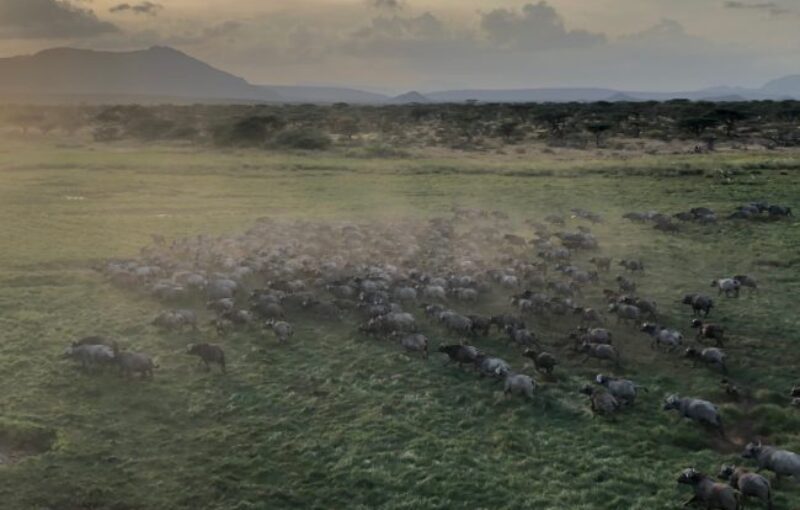 Exercise ASKARI SPEAR 2020