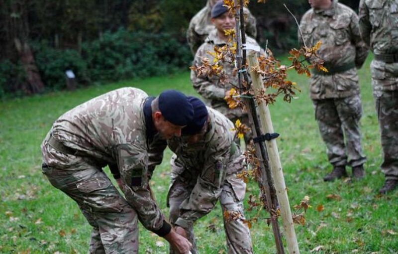 Charity for the Bearsted Woodland trust community