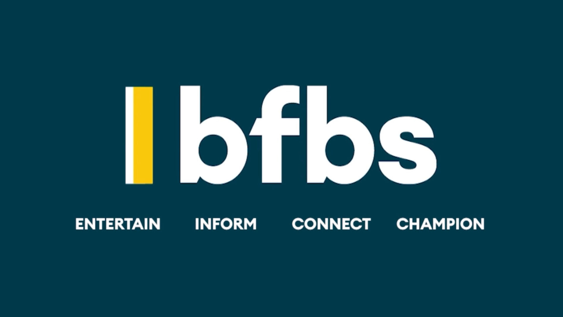 BSBS Survey