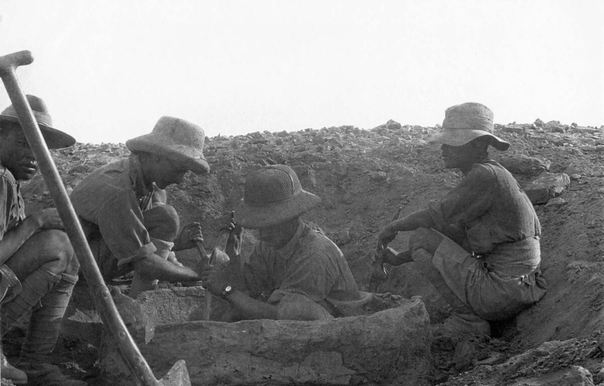 Major Rice 2nd Battalion excavating in Ur of the Chadlees 1916