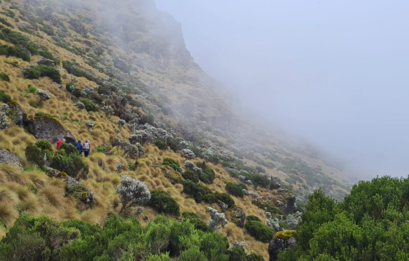 Mount Kenya Charity Ascent to Support The Gurkha Museum